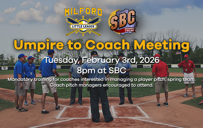Umpire to Coach Meeting
